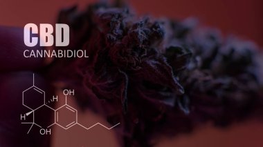 öğeleri Tıbbi Esrar suşları Thc Cbd kimyasal formüller