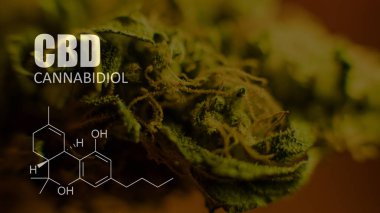 öğeleri Tıbbi Esrar suşları Thc Cbd kimyasal formüller