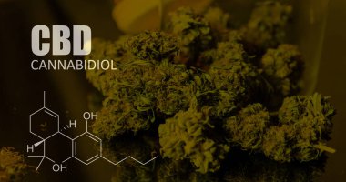 öğeleri Tıbbi Esrar suşları Thc Cbd kimyasal formüller