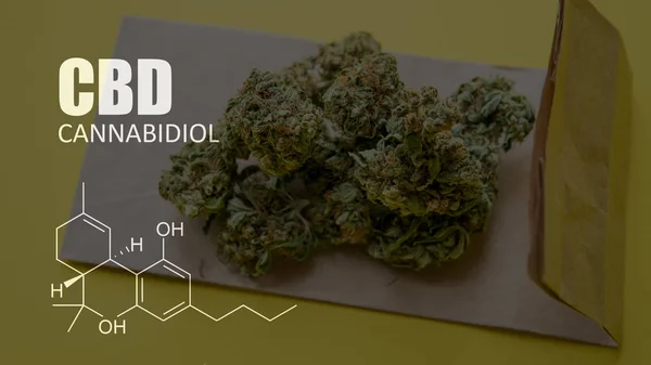 Formules chimiques des éléments THC CBD dans les souches médicales de marijuana — Photo