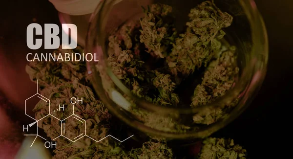Fórmulas químicas de los elementos THC CBD en cepas medicinales de marihuana —  Fotos de Stock