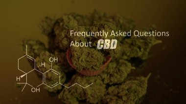 Kimyasal formülü Cannabidiol (Cbd). Yakın çekim