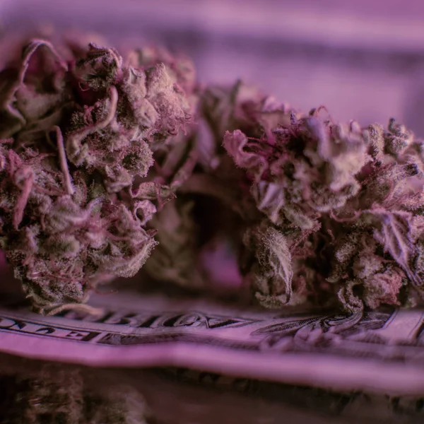 Uma libra de cannabis orgânica — Fotografia de Stock