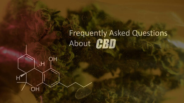 chemical elements in marijuana buds CBD THCA CBN