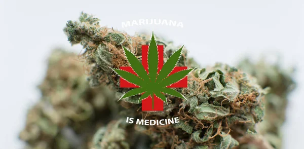 La marihuana es un concepto de medicina. Noticias sobre cannabis medicinal —  Fotos de Stock