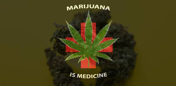 Marihuana jest koncepcja medycyna. Legalizacji marihuany w Stany Zjednoczone Ameryki — Zdjęcie stockowe