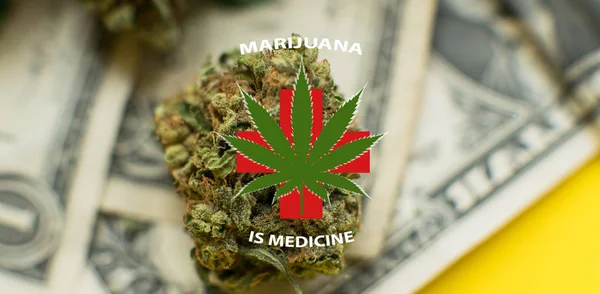 De marihuana is een concept van geneeskunde. Medicinale cannabis nieuws — Stockfoto