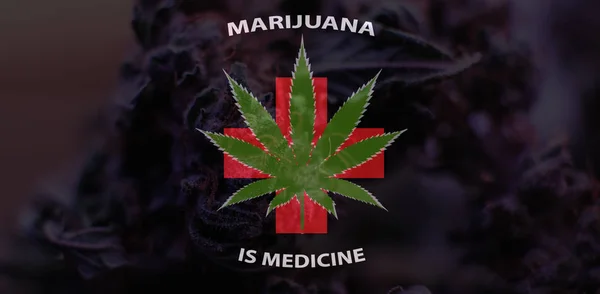 Marijuana is medicine concept. USA marijuana legalize — Stock Photo, Image