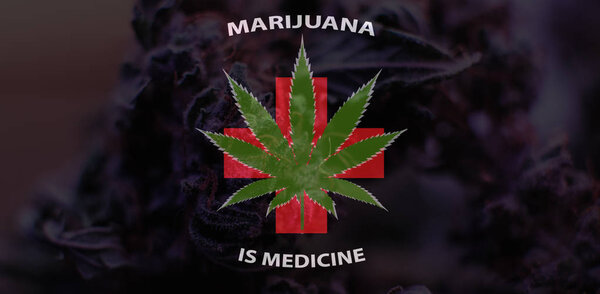 Marijuana is medicine concept. USA marijuana legalize