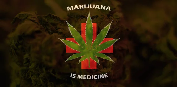 La marihuana es un concepto de medicina. EE.UU. marihuana legalizar —  Fotos de Stock