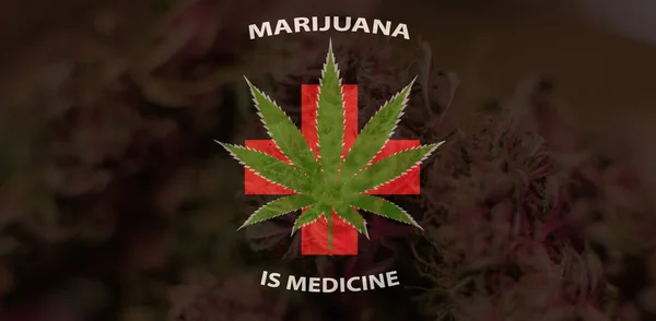 La marijuana est un concept de médecine. USA légalisation de la marijuana — Photo