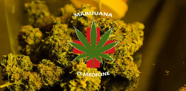 De marihuana is een concept van geneeskunde. Medicinale cannabis nieuws — Stockfoto