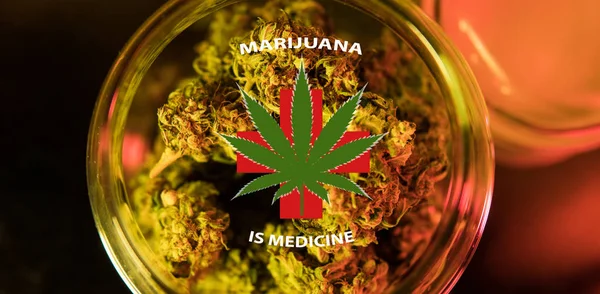 De marihuana is een concept van geneeskunde. Medicinale cannabis nieuws — Stockfoto