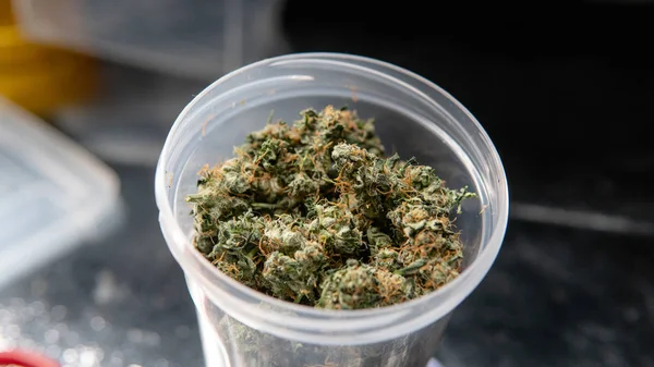 Freizeitmarihuana Sorte Sativa Thc Ernte Detail — Stockfoto