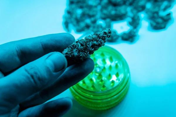 Brotes de cannabis en vista macro estupenda. Marihuana legal médica en 2019 —  Fotos de Stock