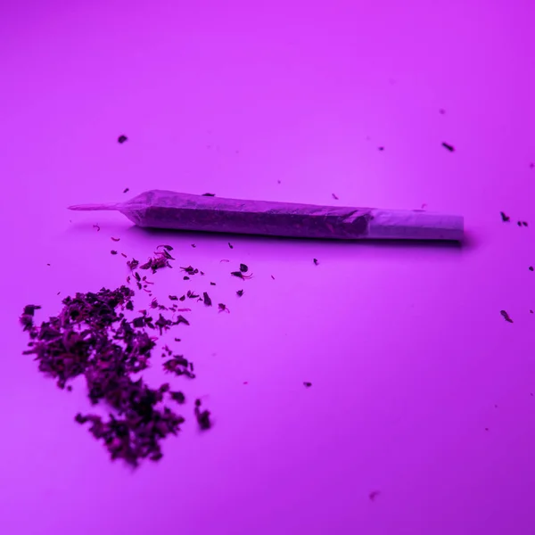 Joint roulé avec marijuana en gros plan . — Photo