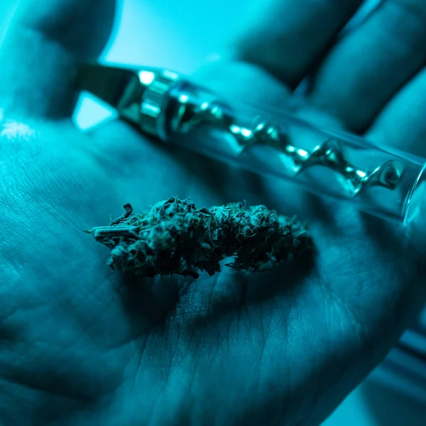 smoking accessories for marijuana close-up. Glass blunt for smoking cannabis