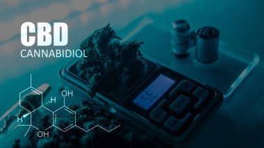 Cannabidiol Cbd Esrar suşları içinde. İnsanlar için tıbbi esrar 