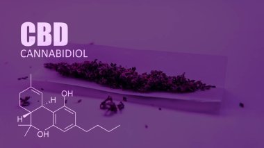Cannabidiol Cbd Esrar suşları içinde. İnsanlar için tıbbi esrar 