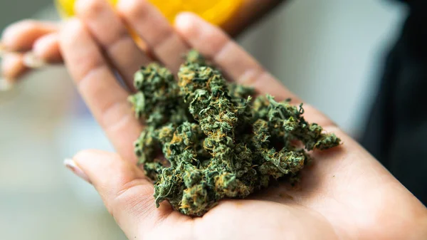 Marijuana Knoppar Och Glas Gemensamma Kvinnans Händer Närbild Cannabis Rökning — Stockfoto