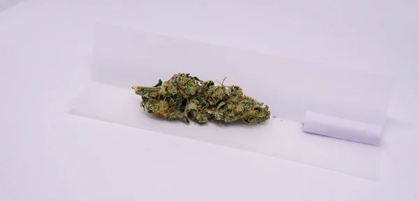 Rotating plastic grinder with marijuana buds inside. Smoking accessories — Stock Photo, Image