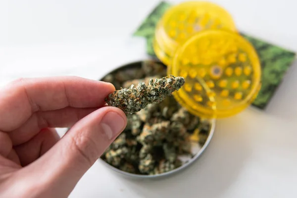 Botões de cannabis medicinal com alto nível de THC. elementos terapêuticos — Fotografia de Stock