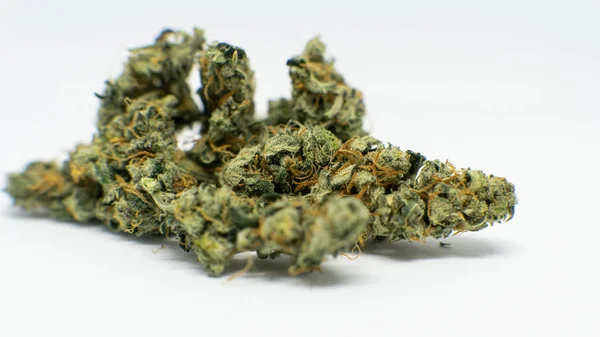 Fresh  recreational Marijuana harvest. Trichomes power and others elements THC CBD — Stock Photo, Image