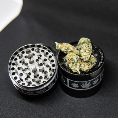 Eğlence yasaktır. Tıbbi esrar suşları