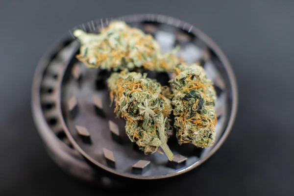 Recreational smoking. Medical marijuana strains — Stock Photo, Image