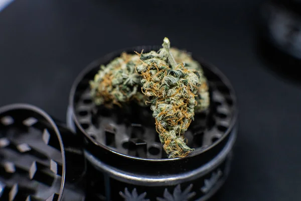 Freizeitrauchen. Medizinische Marihuanastämme — Stockfoto