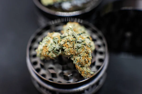 Fritids rökning. Medicinsk marijuana stammar — Stockfoto
