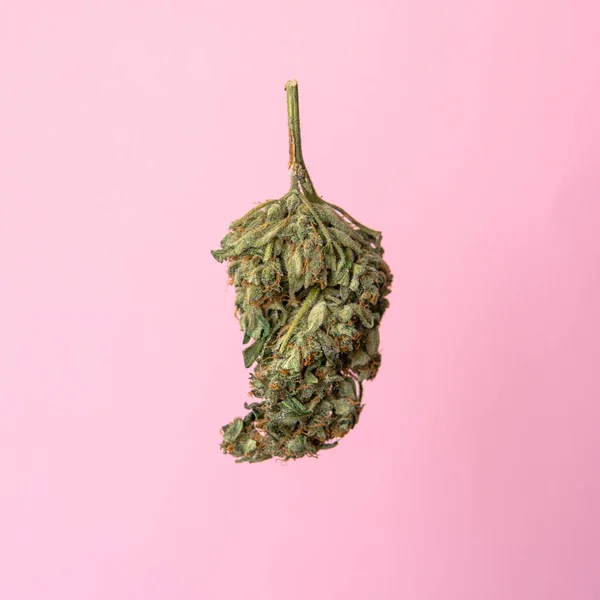 Drogas blandas y creatividad de la juventud moderna. El culto al uso de la marihuana en todas partes . —  Fotos de Stock