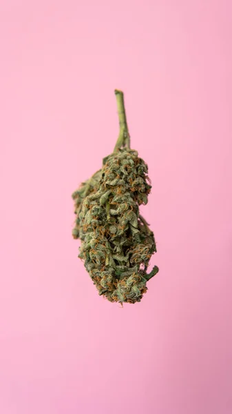 Soft drugs and creativity of modern youth. The cult of using marijuana everywhere. — Stock Photo, Image