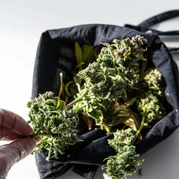 Fritidsanvändning av marijuana bland ungdomar och äldre — Stockfoto