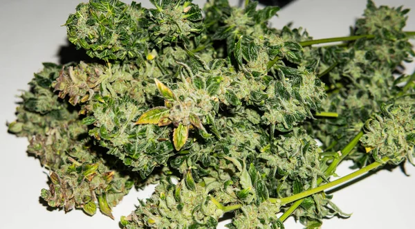 Uso ricreativo della marijuana tra i giovani e gli anziani — Foto Stock