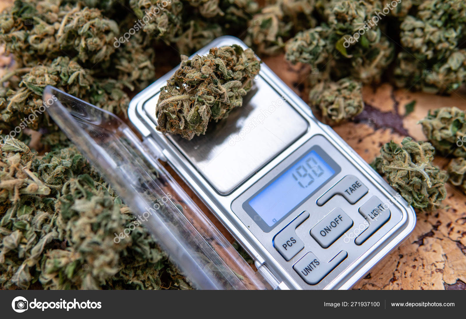 Pesando cogollos de marihuana en una balanza. Cosecha fresca de cannabis —  Foto de stock #271937100 © vasilevkirill, image size:1600x1096