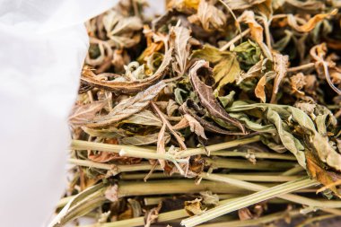 kurutulmuş marihuana yakın çekim yaprakları