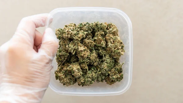 Große frische Cannabis-Knospen in der weißen Plastikbox. Freizeit u — Stockfoto