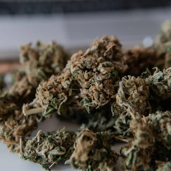 Kultur av rökning marijuana i världen. Redo medicinsk THC CBD — Stockfoto