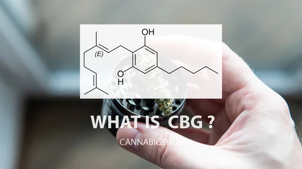 Kadın kenevir bitkicannabigerol kannabinoid bileşikler.