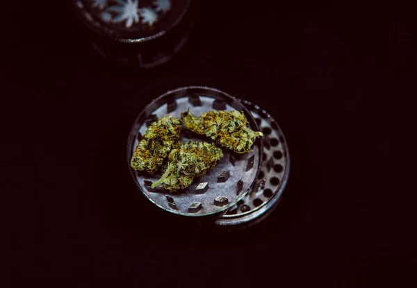 女性大麻植物のカンナビノイド化合物. — ストック写真