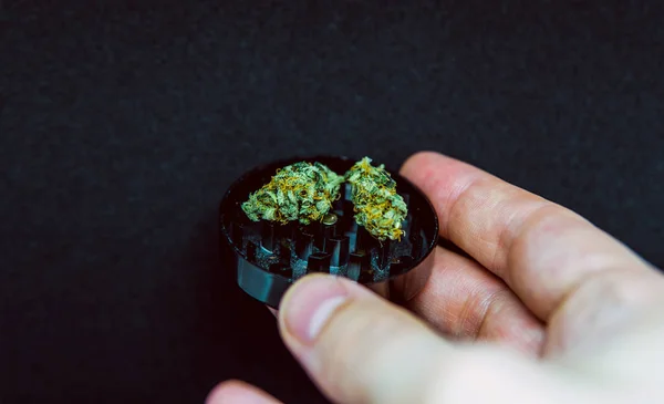 Cannabigerol-Cannabinoidverbindungen in der weiblichen Cannabispflanze. — Stockfoto