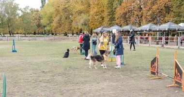 Kyiv, Ukrayna - 6 Ekim 2019: Barınaklardan köpek şovu. Köpek aşkı.