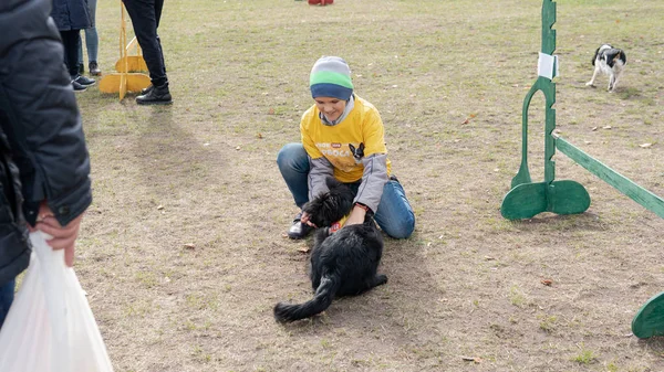Kyjev, Ukrajina - 6. října 2019: výstava psů z útulků. Pes lov — Stock fotografie
