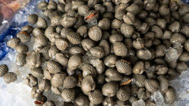 Asya pazarlarında deniz ürünleri satıyorum. Deniz yengeçleri ve satılık çeşitli balıklar.