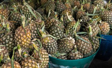Asya 'daki tropikal pazarlarda ananas meyveleri satıyorum. Ananas ve egzotik meyve ithalatı