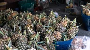 Asya 'daki tropikal pazarlarda ananas meyveleri satıyorum. Ananas ve egzotik meyve ithalatı