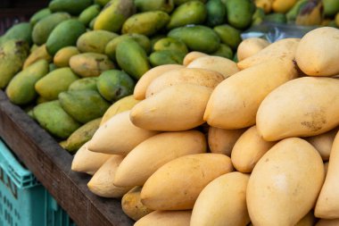 yeşil mangolar market tezgahında yatıyor. Asya 'nın egzotik meyveleri