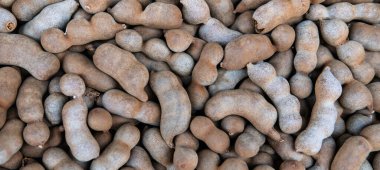 Asya 'nın egzotik meyveleri, Tamarind. Dünyada yemek pişirme ve sağlıklı beslenme konusunda demirhindi.