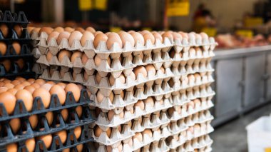 Dünya çapında toptan yumurta. Tavuk yemenin faydaları.